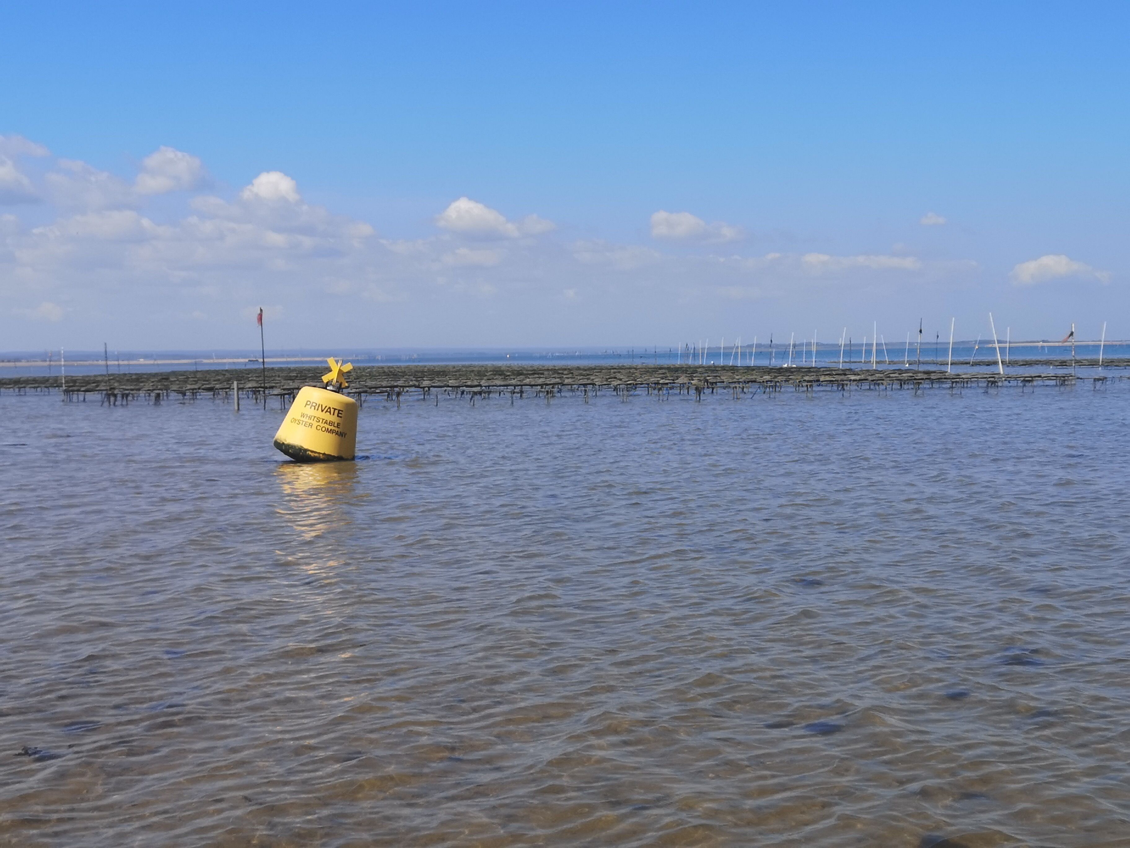 A buoy in the water with text indicating it is private property of a stable oyster company.