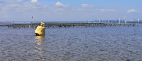 A buoy in the water with text indicating it is private property of a stable oyster company.