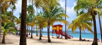 ♥ Belle maison - sur le toit - forêt tropicale et plage ☀