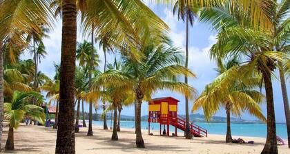 Beautiful Home - Rooftop - Private Jacuzzi - Rainforest & Beach ☀