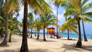 A beach with palm trees, a lifeguard tower, and a clear blue sky.