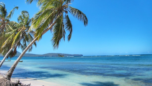 A beach with clear turquoise water, palm trees, and a distant island. - La Cueva Eco-Lodge (Las Galeras)