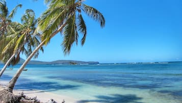 Gần bãi biển, cát trắng, ghế dài tắm nắng, dù trên bãi biển