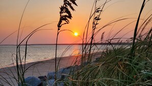 A beach with tall grasses and a sunset over the water.