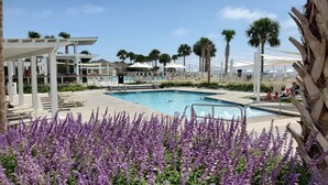 A pool area with lounge chairs, a pool, and purple flowers in the foreground.