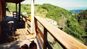 A wooden deck with a view of a green landscape.