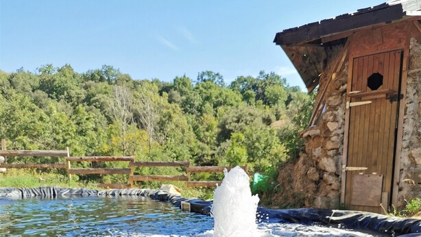 A water feature with a wooden structure and a stone wall in the background.