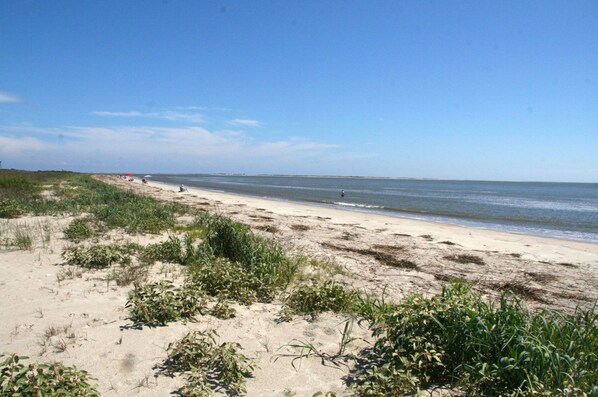 Una playa con arena y vegetación dispersa.