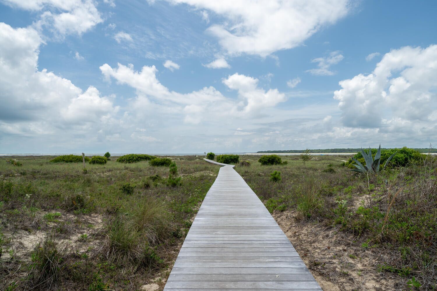 En træpromenade der fører gennem et naturlandskab med sparsom beplantning og en klar himmel.