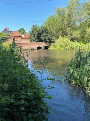 Property grounds - Cozy cabin in nature! A great base to relax or explore North Norfolk . (Norfolk)