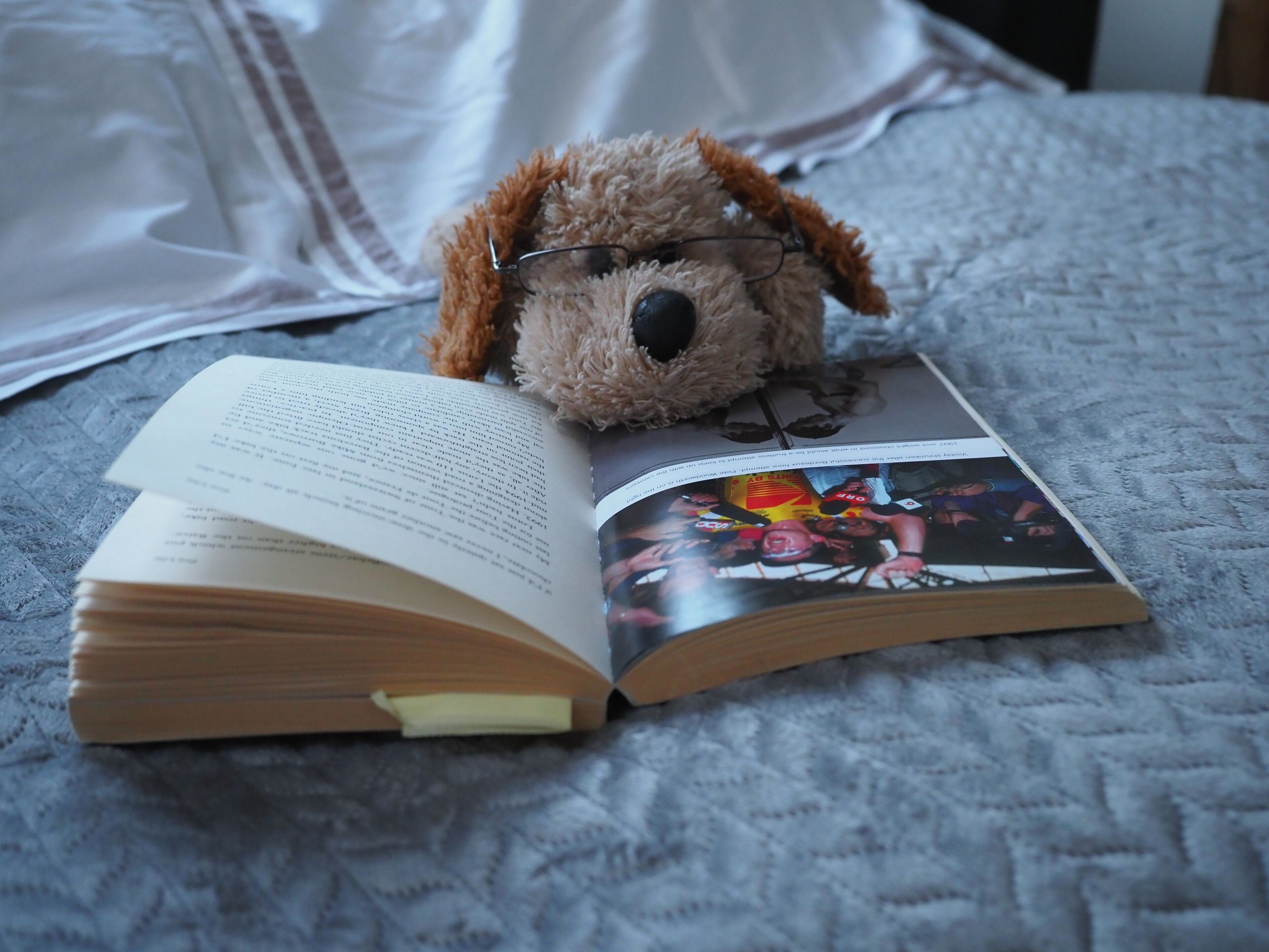 Un peluche con gli occhiali appoggiato su un libro.
