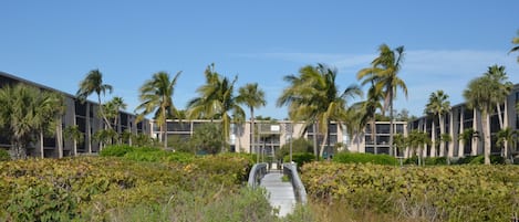 Et resort med en sti, der fører til en bygning omgivet af palmer og frodig vegetation.