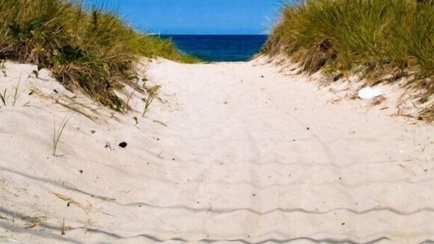 En sandig stig som leder till havet, omgiven av gräsklädda sanddyner.