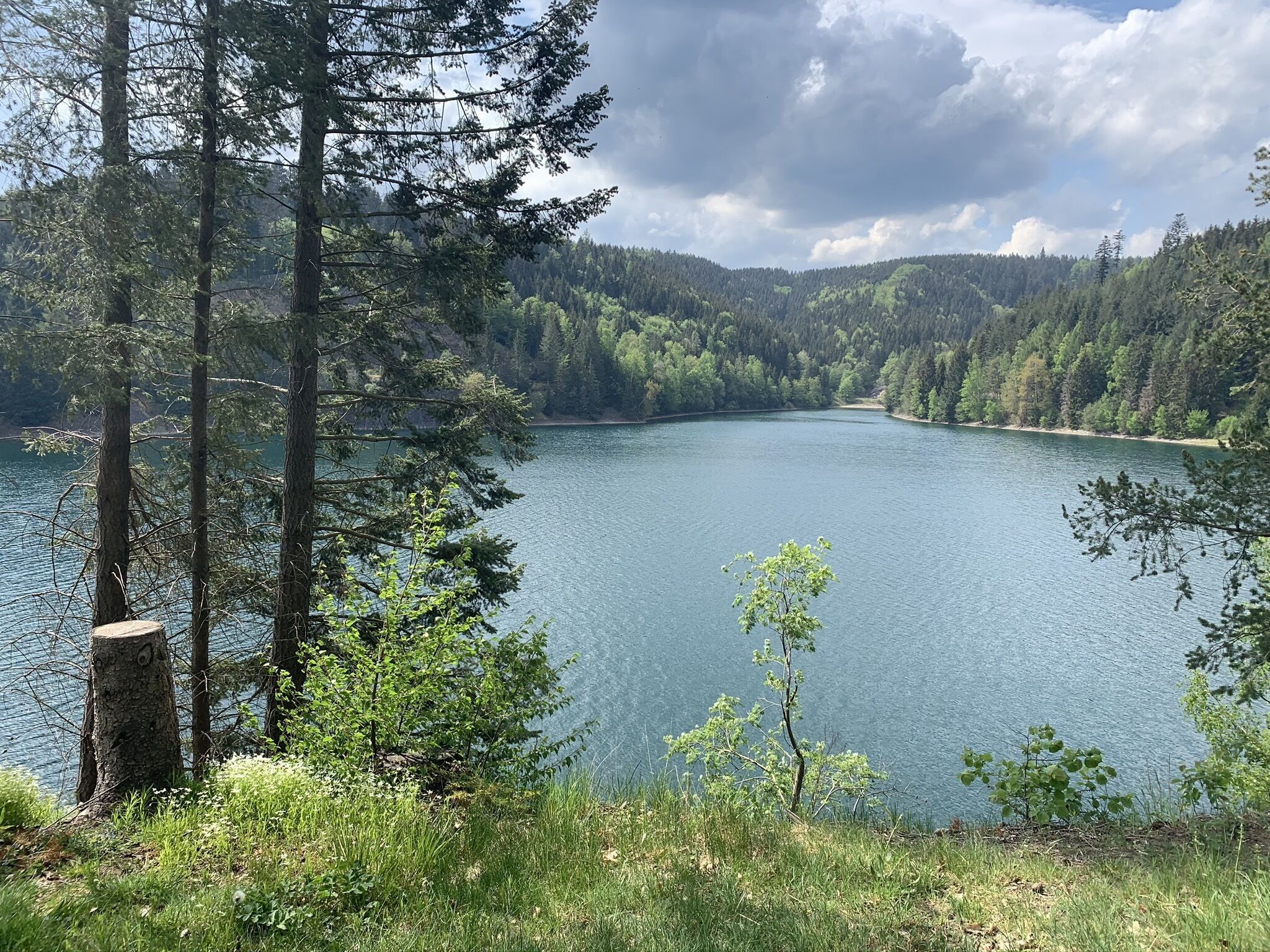 Un lago sereno rodeado de un bosque denso y colinas.