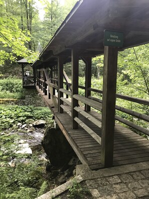 Terrein van de accommodatie