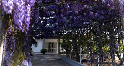 5 * Air Conditioned Villa for 10 people