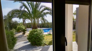 Une vue à travers une fenêtre sur un espace piscine, avec des palmiers, une piscine et un petit arbuste.