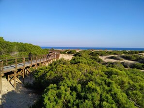 Unclassified image, 5 of 31, button