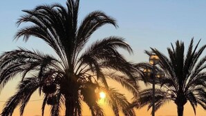 A beach scene with palm trees and people walking along the shore during sunset. - FRANCE NICE PROMENADE OF ENGLISH 80 m2 PIANO    (Nice)