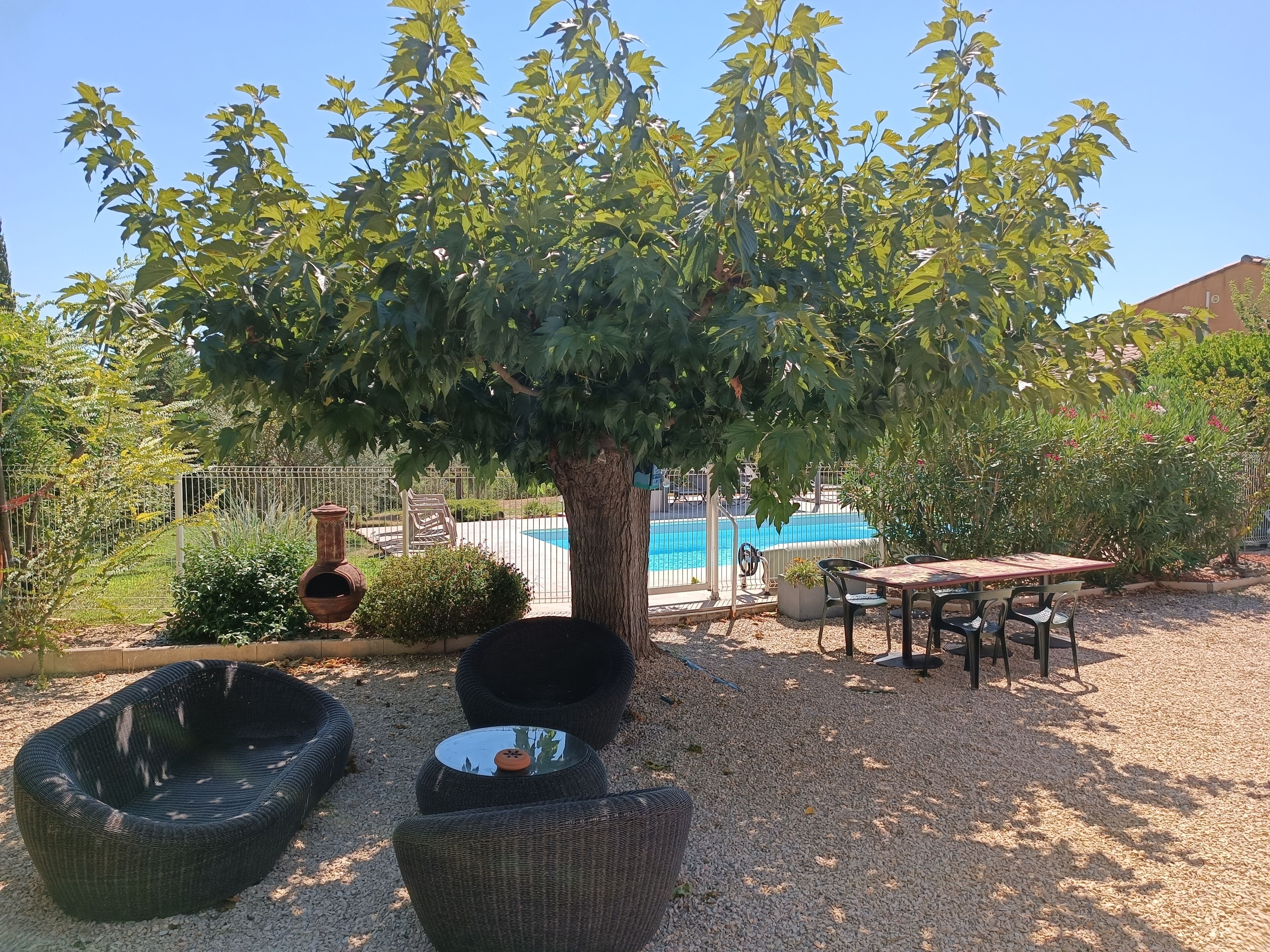 Un espace jardin aménagé avec une piscine, du mobilier d’extérieur et un arbre.