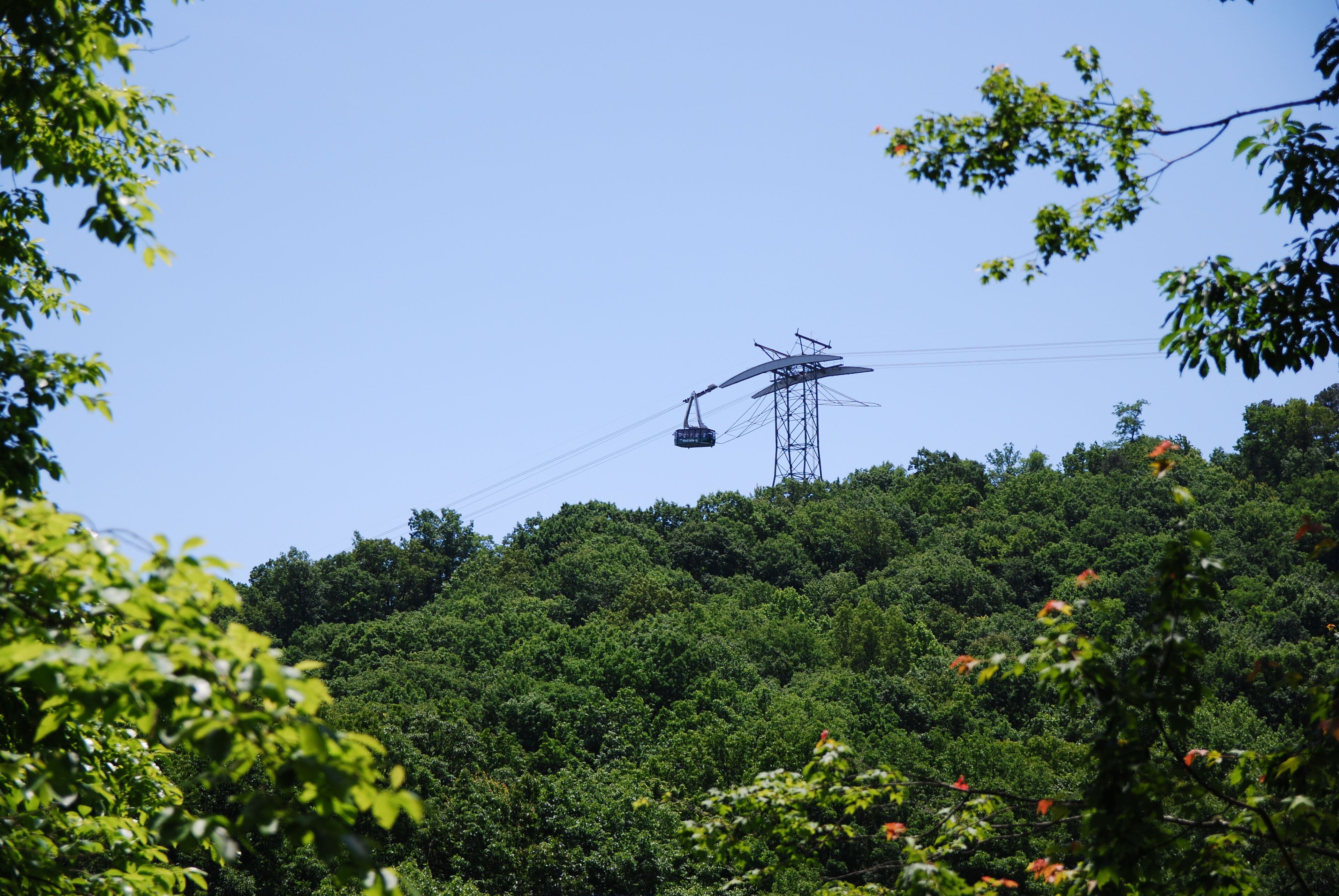 A cable car system with a tower amidst dense green foliage.