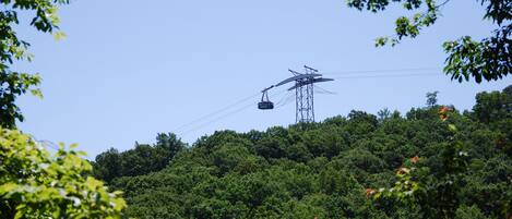 A cable car system with a tower amidst dense green foliage.
