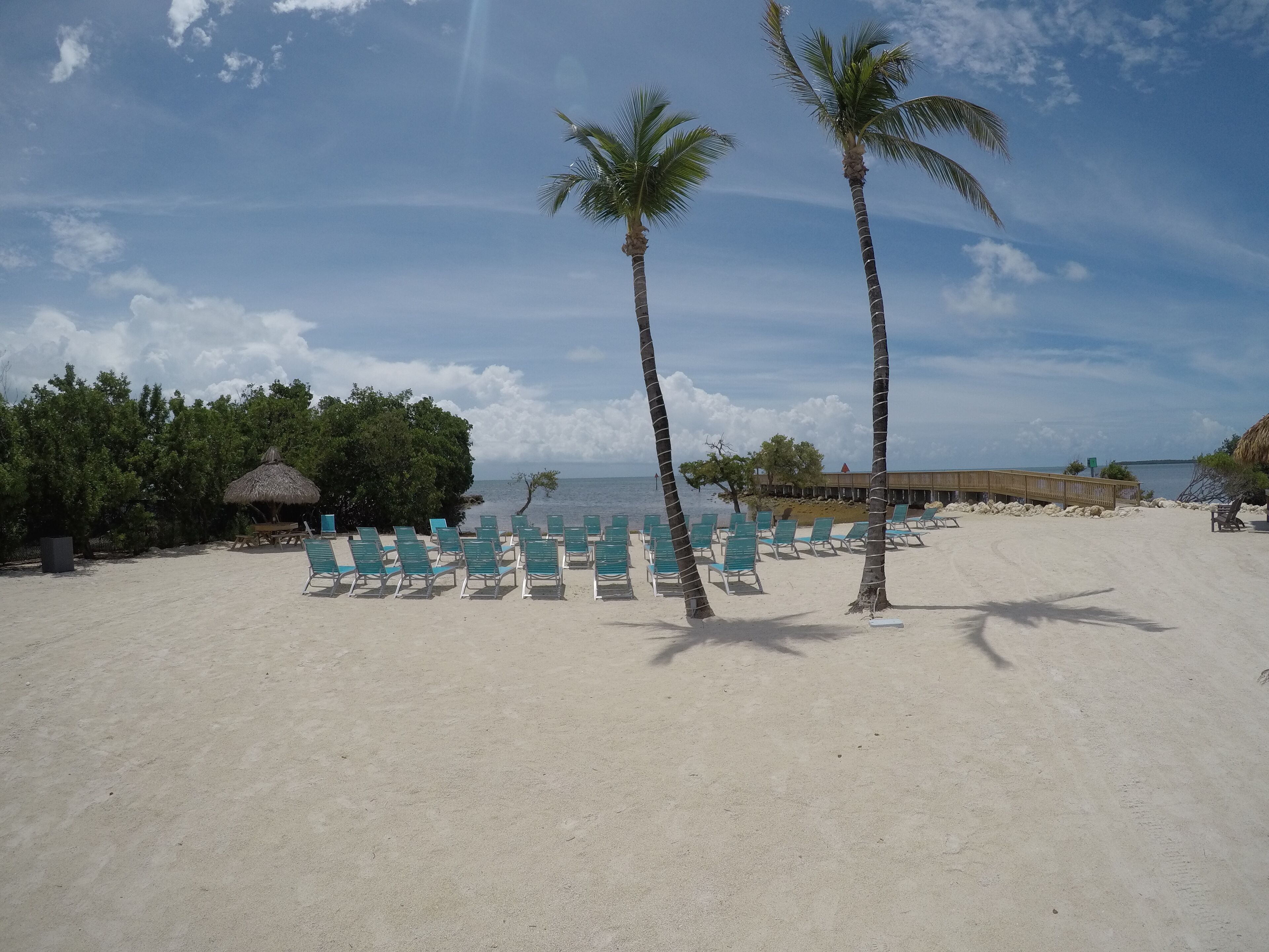 Une plage bordée de rangées de chaises longues vertes, de palmiers et d’une promenade en bois qui mène à l’eau.