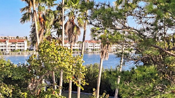 Un hotel con piscina, rodeado de palmeras y otra vegetación.