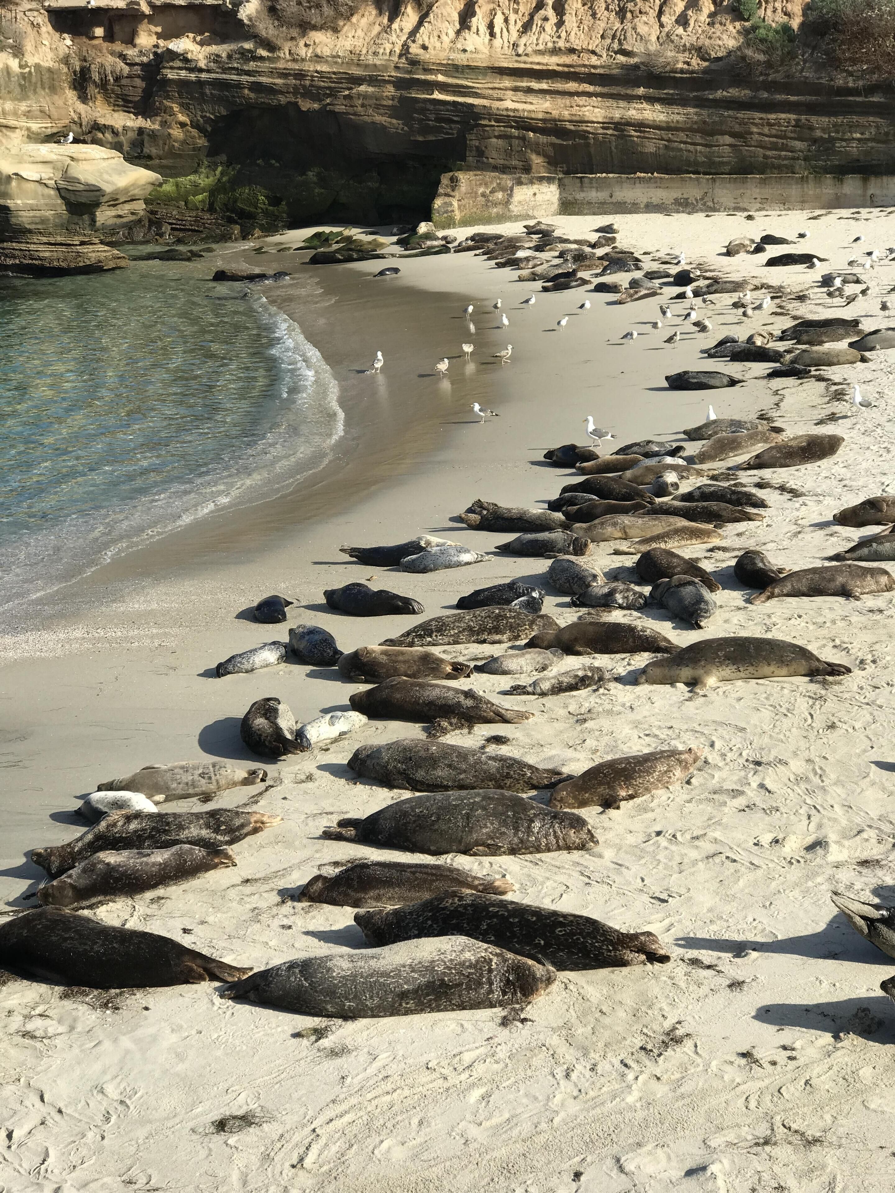 在海灘附近、沙灘巾