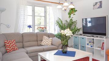 Kamin, DVD-Player