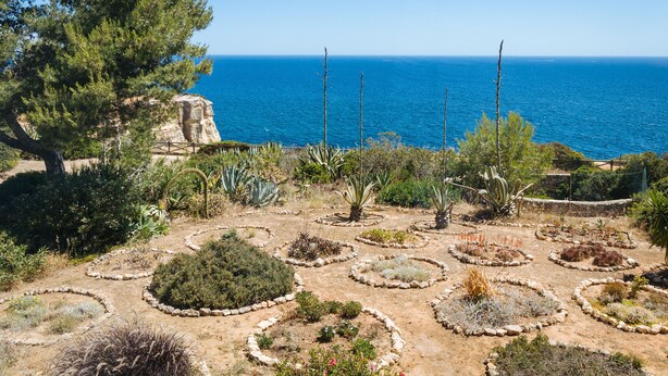 Een tuin met diverse planten en uitzicht op zee.