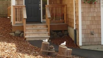 DĂ©tail de lâextĂ©rieur