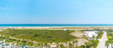 A resort with a large swimming pool, palm trees, and a beach view.