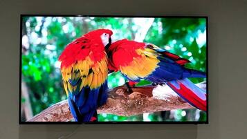 A television displaying two colorful parrots perched on a branch.