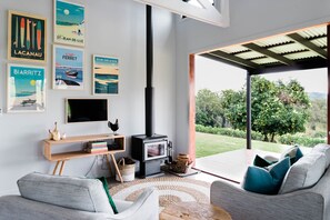 Smart TV, fireplace, DVD player, books