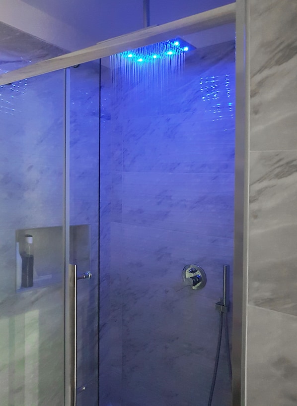 Shower, hair dryer, bidet, towels