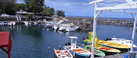 Marina