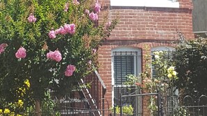 En tvåvåningsbyggnad i tegel med nummer ”213” på dörren, en liten trädgård med rosa blommor och ett staket av metall.