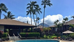 Una piscina de borde curvo, rodeada de palmeras y un edificio con zona techada.