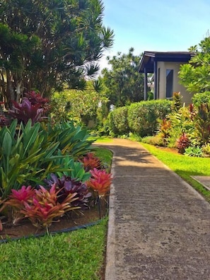 A garden pathway leading to a building with a modern architectural style. - Beautiful Tropical Getaway - Pool - Grill & More (Princeville)