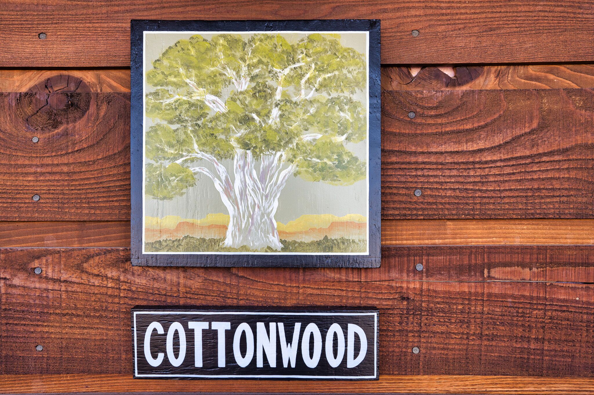 A framed painting of a tree on a wooden wall with a sign below it that reads "COTTONWOOD".