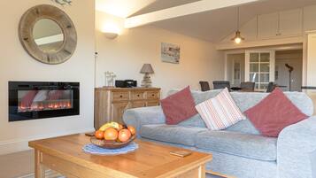 Smart TV, fireplace, DVD player, stereo