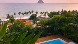 Una piscina con vista sull'oceano e palme.