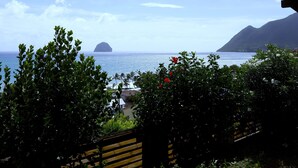 Vista sulla costa con una montagna sullo sfondo, una piccola isola e vegetazione lussureggiante in primo piano.
