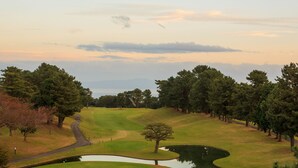 Um campo de golfe com lago, árvores e uma estrada.