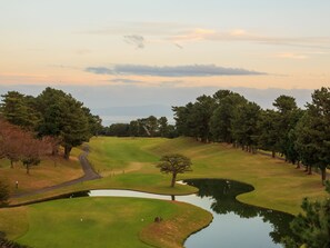 View from property - Southern Cross Resort (Ito)