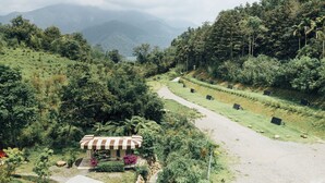 A rural landscape with a road, a small building with a striped awning, and a mountainous backdrop. - Sun Moon Lake Residence 8 (Yuchi)