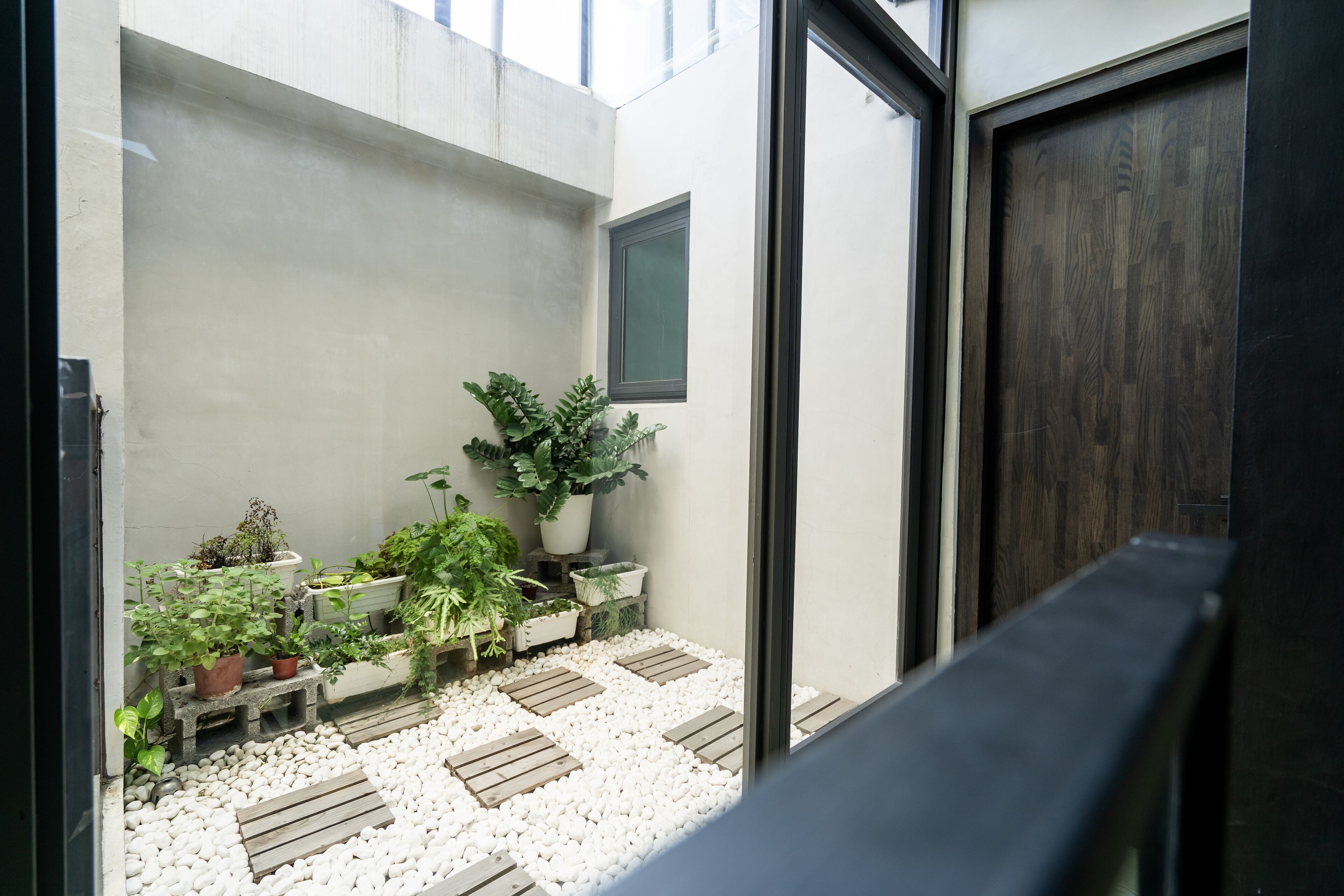 A modern outdoor space with a concrete wall, potted plants, and a wooden bench.