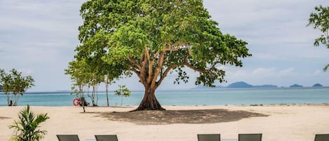 Ubicación a pie de playa