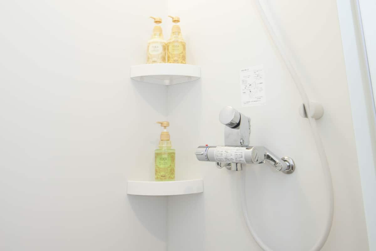 Shower, free toiletries, hair dryer, bidet